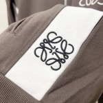 2025年8月23日秋冬入荷新作LOEWEジャケット高品質人気商品/HL工場