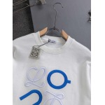 2025年8月23日秋冬入荷新作LOEWEスウェット  高品質人気商品/HL工場