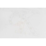 2025年8月24日秋冬入荷新作CKスウェット高品質安い人気商品/HL工場