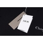 2025年8月24日秋冬入荷新作DIOR長袖Tシャツ高品質安い人気商品/HL工場