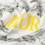 2025年8月26日秋冬入荷新作DIOR半袖Tシャツ高品質安い人気商品/HL工場