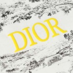 2025年8月26日秋冬入荷新作DIOR半袖Tシャツ高品質安い人気商品/HL工場