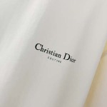 2025年8月27日秋冬入荷新作DIOR半袖 tシャツ高品質安い人気商品/HL工場