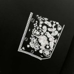 2025年8月27日秋冬入荷新作FENDI半袖 tシャツ高品質安い人気商品/HL工場