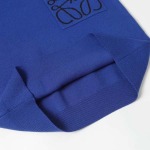 2025年8月28日秋冬入荷新作LOEWEセーター高品質安い人気商品/HL工場