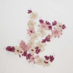 2025年8月28日入荷秋冬新作Louis Vuitton半袖 tシャツ原版復刻人気で【极品】/正規品と同じサイズSize:S M L/YGY工場