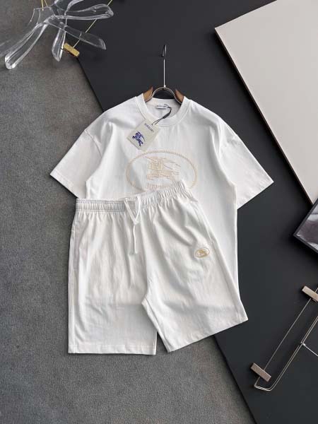 2025年9月1日入荷 新作Burberry半袖 tシャツ ...