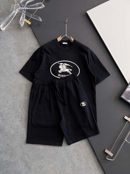 2025年9月1日入荷 新作Burberry半袖 tシャツ ...