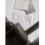 2025年9月2日入荷 新作Dior半袖 tシャツ高級なプレゼント/誕生日プレゼント/高品質/メンツ/記念品/ wenzhou工場