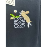 2025年9月8日入荷新作Loeweスウェット高品質人気商品/誕生日プレゼント/FF工場