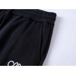 2025年9月8日入荷新作LOEWEズボン高品質人気商品/誕生日プレゼント/FF工場