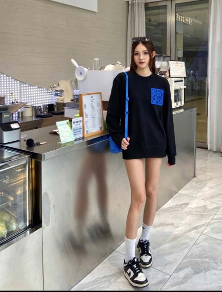 2025年9月9日入荷新作LOEWEスウェット高品質人気商品...