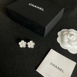 2025年9月25日入荷新品Chanelピアスギフト/誕生日/記念品/アクセサリーxin工場