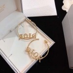 2025年9月26日入荷新品Diorピアスギフト/誕生日/記念品/アクセサリーxin工場