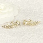 2025年9月26日入荷新品chanelピアスギフト/誕生日/記念品/アクセサリーxin工場