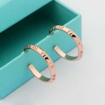 2025年9月26日入荷新品HERMESピアスギフト/誕生日/記念品/アクセサリーxin工場