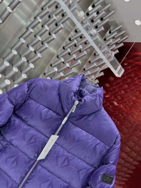 2025年10月27日秋冬新作Diorダウンジャケット高品質超厳選★入手困難/P5工場