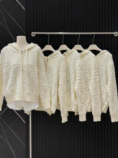 2025年10月1日入荷秋冬新作Dior ファッション/誕生...