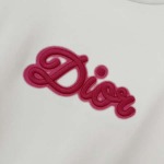 2025年10月9日秋冬入荷新作DIORスウェット高品質安い人気商品/HL工場