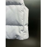 2025年10月11日秋冬入荷新作Cana da Goose 女性用ダウンジャケット高品質安い人気商品/HL工場