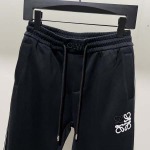 2025年10月12日秋冬入荷新作LOEWEズボン高品質 人気商品/HL工場