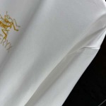 2025年10月12日秋冬入荷新作ARCTERYX長袖T シャツ高品質 人気商品/HL工場