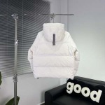 2025年10月12日秋冬入荷新作Can*ada gooseダウンジャケット高品質 人気商品/HL工場