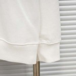 2025年10月12日秋冬入荷新作Louis Vuittonスウェット高品質 人気商品/HL工場