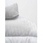 2025年10月20日秋冬入荷新作Diorダウンジャケット高品質 人気商品/HL工場