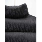 2025年10月20日秋冬入荷新作Diorダウンジャケット高品質 人気商品/HL工場