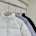 2025年10月20日秋冬入荷新作THE NORTH FACE女性用ダウンジャケット高品質 人気商品/HL工場