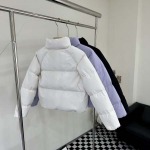 2025年10月20日秋冬入荷新作THE NORTH FACE女性用ダウンジャケット高品質 人気商品/HL工場