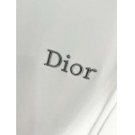2025年10月21日入荷新作Dior長袖Tシャツ 秋冬高品質超厳選★入手困難/LD工場