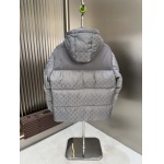 2025年10月22日秋冬入荷新作Louis Vuittonダウンジャケット高品質 人気商品/DD工場