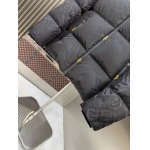 2025年10月23日秋冬入荷新作Fendiダウンジャケット高品質 人気商品/DD工場