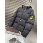 2025年10月23日秋冬入荷新作Fendiダウンジャケット高品質 人気商品/DD工場