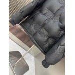 2025年10月23日秋冬入荷新作Louis Vuittonダウンジャケット高品質 人気商品/DD工場