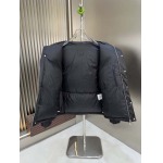 2025年10月23日秋冬入荷新作Fendiダウンジャケット高品質 人気商品/DD工場