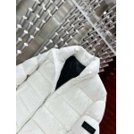 2025年10月27日秋冬新作Diorダウンジャケット高品質超厳選★入手困難/P5工場