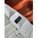 2025年10月27日秋冬新作Diorダウンジャケット高品質超厳選★入手困難/P5工場