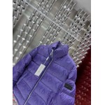 2025年10月27日秋冬新作Diorダウンジャケット高品質超厳選★入手困難/P5工場