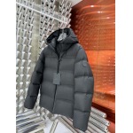 2025年10月27日秋冬新作Moncler ダウンジャケット高品質超厳選★入手困難/P5工場