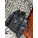 2025年10月27日秋冬新作Zegnaダウンジャケット高品質超厳選★入手困難/P5工場