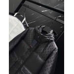 2025年10月27日秋冬新作Louis Vuittonダウンジャケット高品質超厳選★入手困難/P5工場