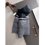 2025年10月28日秋冬新作DIORダウンジャケット高品質人気商品/LDF工場