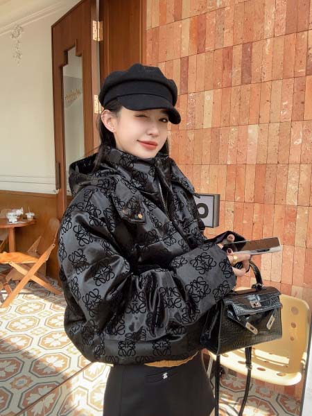 2025年11月23日入荷秋冬新作Loeweダウンジャケットファッション/誕生日プレゼント/贈り物 can工場