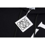 2025年11月11日秋冬新作LOEWEスウェット人気商品/LDF工場