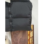2025年11月17日秋冬新作Can a*da Gooseダウンベスト高品質人気商品/QIU工場
