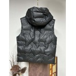 2025年11月17日秋冬新作Louis vuittonダウンベスト高品質人気商品/QIU工場