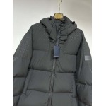 2025年11月17日秋冬新作Louis vuittonダウンジャケット高品質人気商品/QIU工場